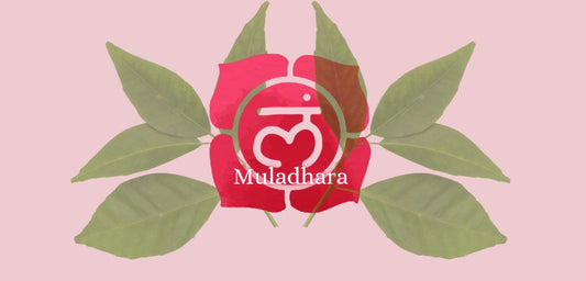 Reiki & The Root Chakra
